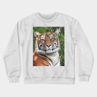 Sumatran Tiger Crewneck Sweatshirt